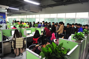 商贸系组织学生参观河南省电子商务产业园